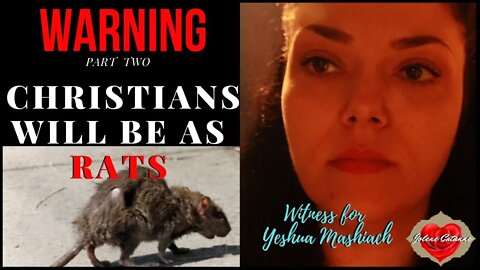 WARNING DREAM 'Christians Will Be As Rats' Part Two In Depth Explanation 0