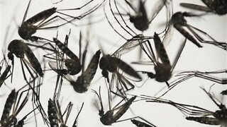 First case of West Nile for 2022 was reported in Kern County