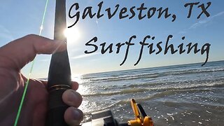 Catching some beasts! Surf fishing Galveston Texas