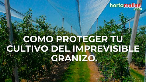 Como proteger tu cultivo del imprevisible granizo.