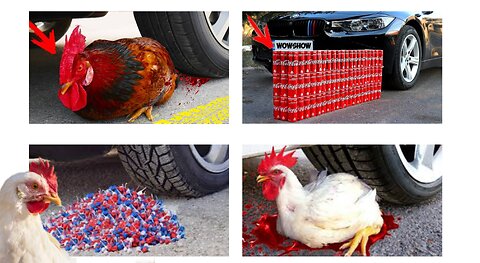 Experiment: Car vs chicken & ckers !! So Amazing