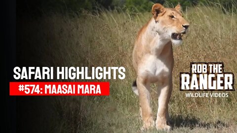 Safari Highlights #574: 23 December 2020 | Maasai Mara/Zebra Plains | Latest Wildlife Sightings
