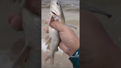 Pescaria de praia