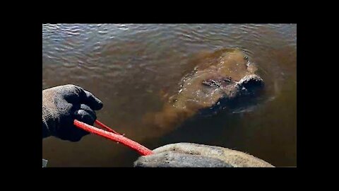 Boy Finds Buried Rope In Lake, Looks Closer