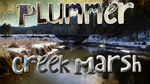 Plummer Creek Marsh - Heyburn State Park, North Idaho