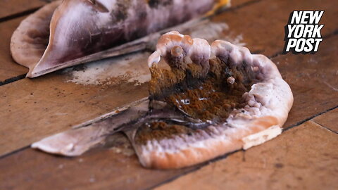 Roommates ditch their apartment after finding mushrooms growing from floorboards