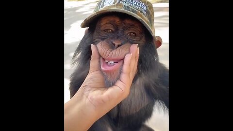 monkey smile