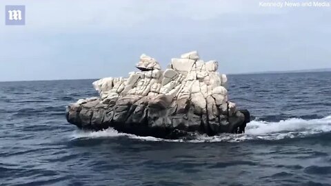 Boat camouflaged as a rock speeds past the French coast