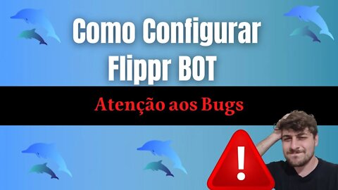 Como Configurar o Flippr Bot - Atenção aos Bugs