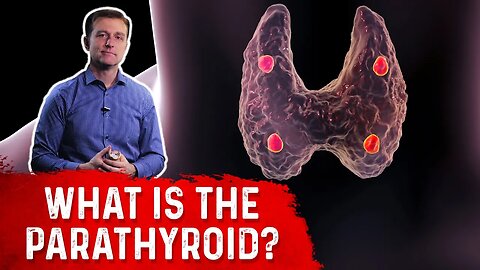 What is the Parathyroid Gland? Explained By Dr.Berg
