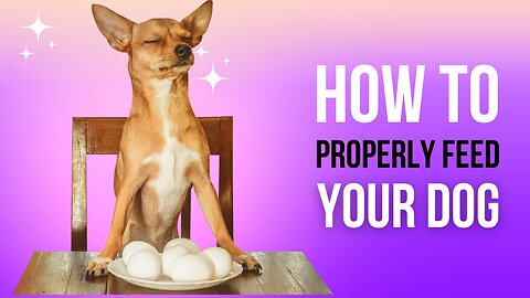 The Ultimate Guide To MAKE YOUR DOG WORK FOR THEIR FOOD