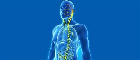 Bioelectronics, the vagus nerve, and nano chips