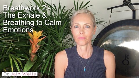 Body 15 - Breathwork 2 - The Exhale & Breathing For Emotional Stability