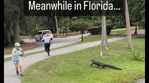 Alligator almost got this fisherman in Florida..🤯🐊Follow Me