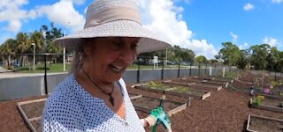 New community garden to open in Boca Raton