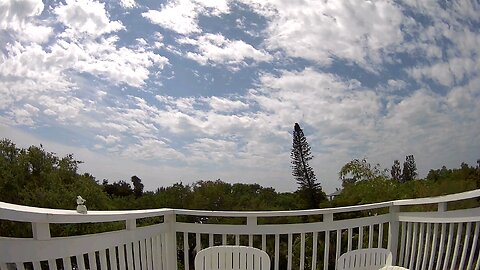 Siesta Key view