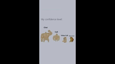 My Confidence Level 💪🏻...