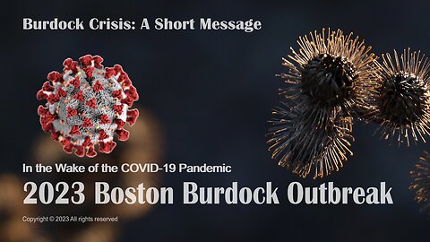 2023 Boston Burdock Outbreak in the Wake of the COVID-19 Pandemic: A Short Message