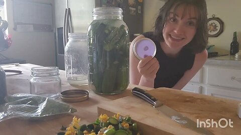 Fermented Pickles Recipe! Easiest way to make Pickles ever!