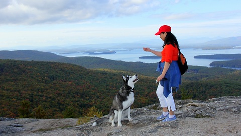 Husky's unforgettable trip to the top of Mount Major