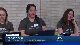 Denver7 hosts call center to help Dumb Friends League