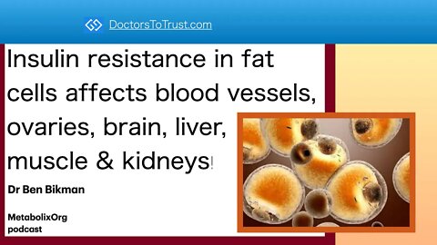 Ben Bikman4: Insulin resistant fat cells affect blood vessels, ovaries, brain, liver, muscle kidneys