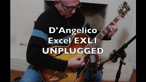 D'Angelico Excel EXL1 Hollowbody Jazz Guitar - UNPLUGGED