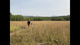 Hiking Covey Meadows