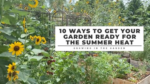 10 Ways to Prepare Your Hot-Climate Garden for Summer: Growing in the Garden