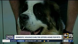 Valley domestic violence shelter offers home for pets