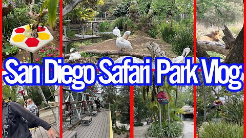 Wild Animal Safari Park San Diego Vlog🦁🐘Come W/Me Safari Wild Animal Park #vlog #new