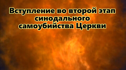 ВВП: Вступление во второй этап синодального самоубийства Церкви