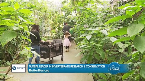 Global Leaders In Research & Conservation // Butterfly Pavillion