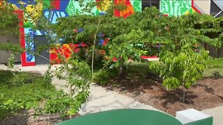 HCC, Feeding Tampa Bay open 'Food Forest' public art space
