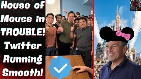 Bob Iger BACK at Disney | Elon Musk Running Twitter Like Bob Chapek Should Have Disney!