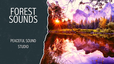 Rainforest Ambience 4K Stunning Landscapes | Peaceful Sound Studio | Beautiful Scenery Jungle Sounds