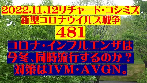 2022.11.12 リチャード・コシミズ新型コロナウイルス戦争４８１