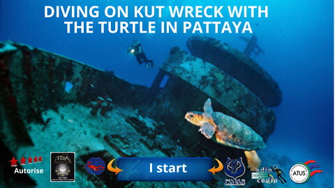 🤿 diving on kut wreck with the turtle in Pattaya