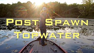 Post-Spawn Topwater Bass Fishing