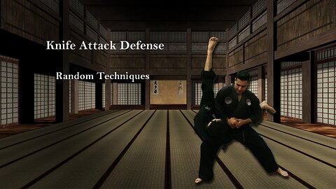 Aikido: Self Defense Techniques Against Knife Attacks 2