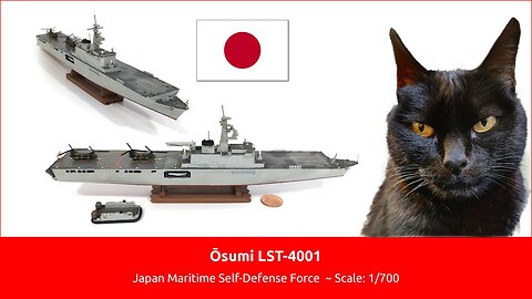 Ōsumi LST-4001 ~ Japan Maritime Self-Defense Force