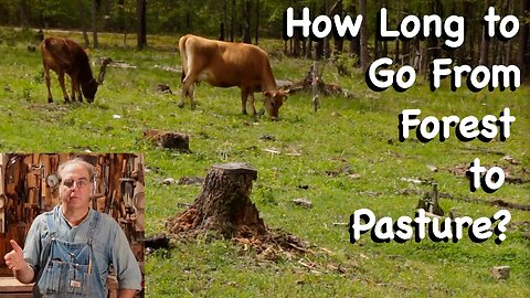 How Long Does it Take to Go from Forest to Pasture? - FHC Q & A