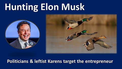 Hunting Elon Musk | Politicians & Leftists pull out their knives