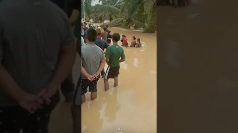 Banjir di desa Mandrasah Tebo Jambi #beritaterkini #news #tebo #jambi