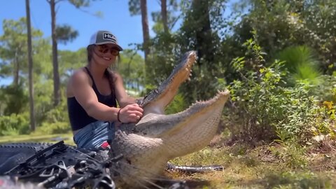 Huge Gator with a Bow!