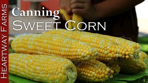 Canning Sweet Corn | Food Preservation | Pressure Canning | Presto | Heartway Farms