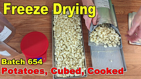Batch 654 Freeze Drying Cooked Potato Cubes
