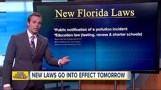 New laws that go into effect on July 1 in Florida