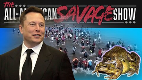 Elon is now rar right, 1000 illegals come over, and they've turning the frogs ungay!