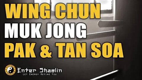 Wooden Dummy | Wing Chun | Pak Sao Tan Sao | Muk Jong
